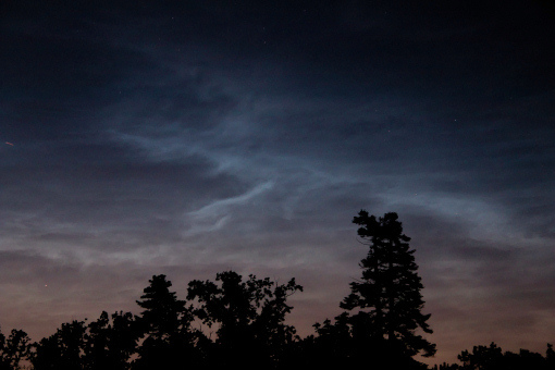 NLC 02.07.2021