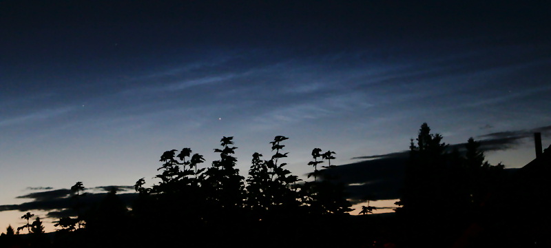 NLC 24.06.2017