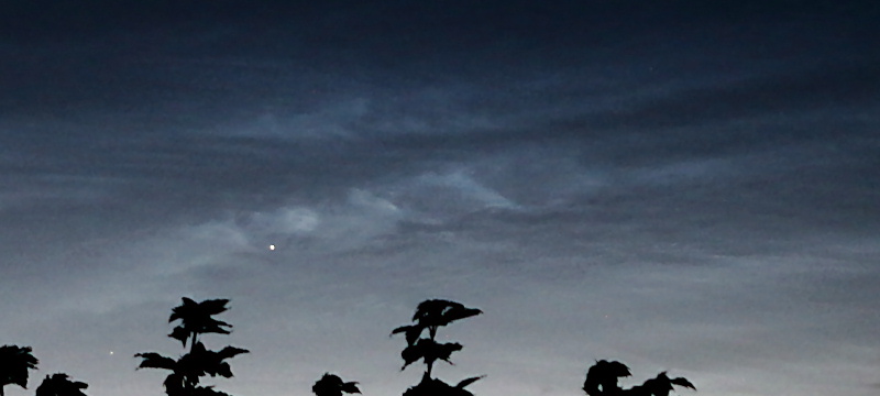 NLC 24.06.2017