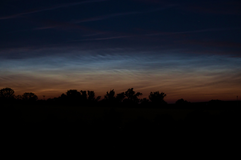 NLC
