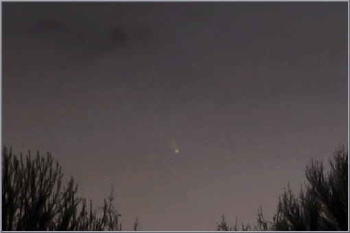 Komet PANSTARRS