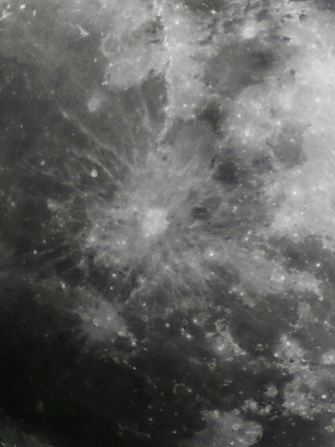 Copernicus