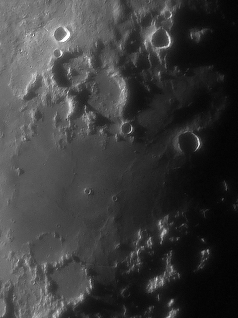 Pallas