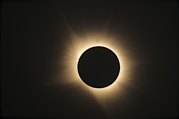 sofi2026-Corona