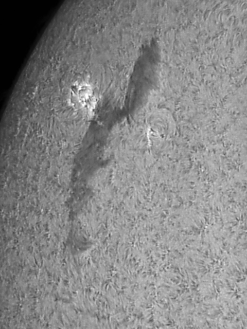 Filament