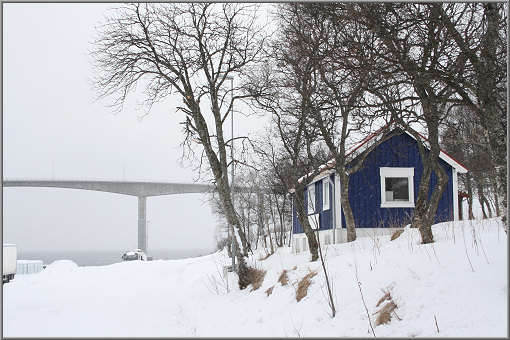 Risøyhamn