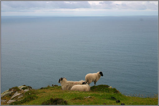 Slieve League, die (beinahe) höchsten Klippen Europas, Co. Donegal