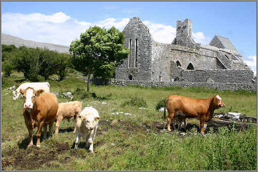 Ruine Corcomroe Abbey