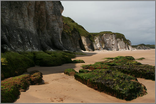»The White Rocks«