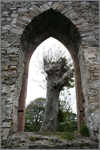 Ruine der St. Columba's Church