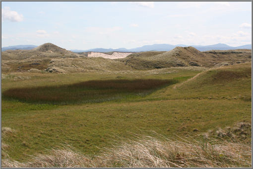 Im Hinterland ist der Boden oft sumpfig