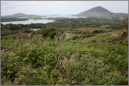 Blick auf die K&uuml;stenlandschaft der Connemara