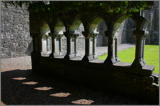 Cong Abbey, Ruine des Kreuzgangs