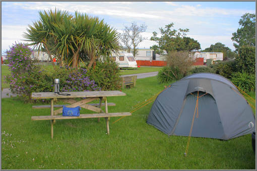Camping unter Palmen