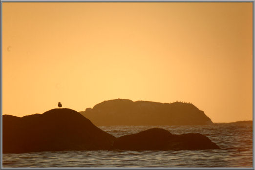 Abendstimmung bei Fredvang
