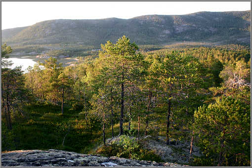 Bei Notvann