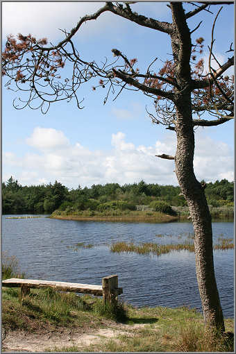 See Nörresö