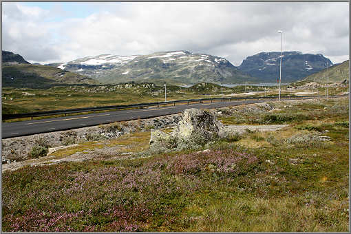 Auf der Hardangervidda