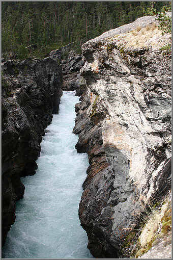 Ridderspranget