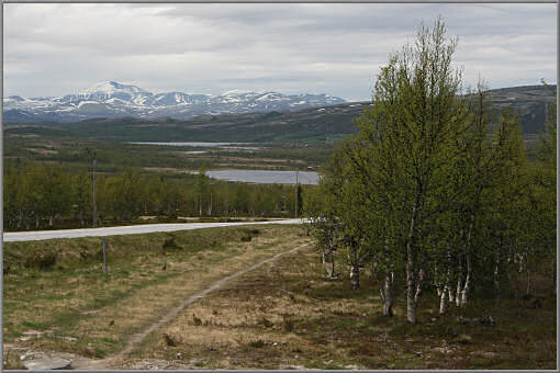 Auf dem Ringebufjellet