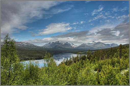 Auf dem Dovrefjell