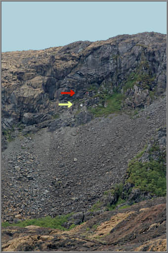 »Ørnerovet«