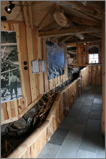 Namsen Laksakvarium, Ausstellung