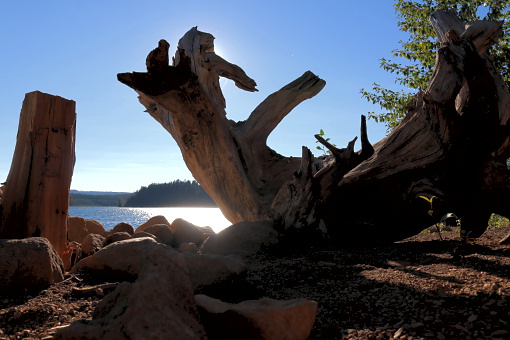 Am Clear Lake