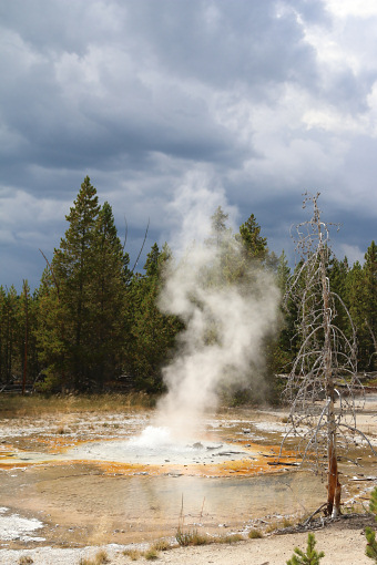 Geysir in Yellowstone