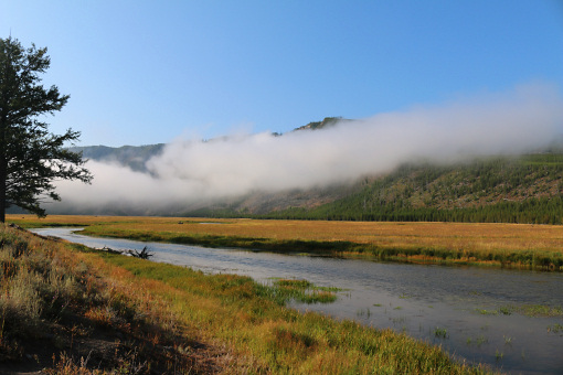 Yellowstone Nationalpark, Madison River